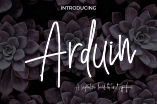 Arduin: A Handwriting Script Typeface for Creative Workflow