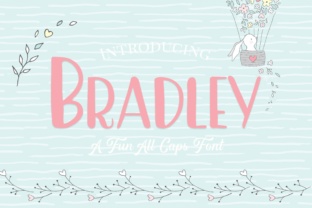 Bradley: A Fun, Springy Font for Friendly Designs