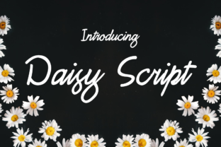 Daisy Script: A Feminine and Stylish Typographic Choice