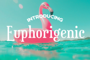 Euphorigenic: A Luxurious Touch for Modern Design