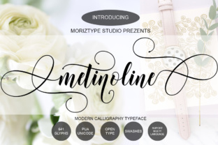 Metinoline Script: A Creative Typographic Powerhouse
