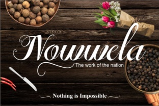 Nowwela: A Modern Script Font for Luxurious Typography
