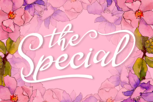 The Special: A Handwritten Script Font